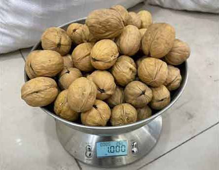 تصویر 5 از خرید و قیمت گردو چینی عمده + فروش عمده